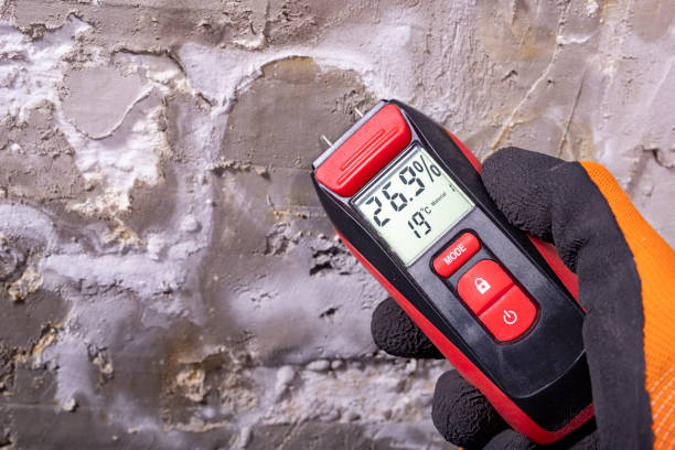 Best Residential Mold Remediation in Center, TX