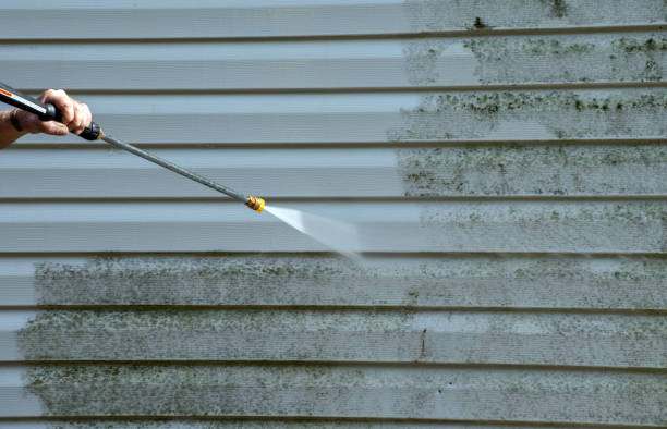 Best Commercial Mold Remediation in Center, TX
