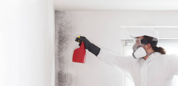 Best Mold Remediation for Specific Building Types in Center, TX