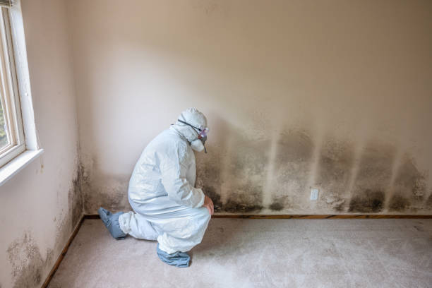 Center, TX Mold Remediation Company