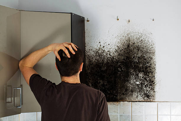 Best Crawl Space Mold Remediation in Center, TX
